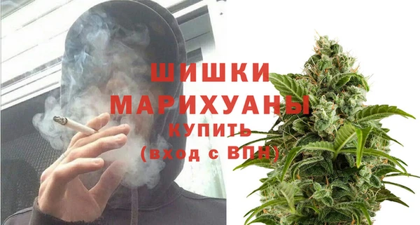 ГАЛЛЮЦИНОГЕННЫЕ ГРИБЫ Алзамай