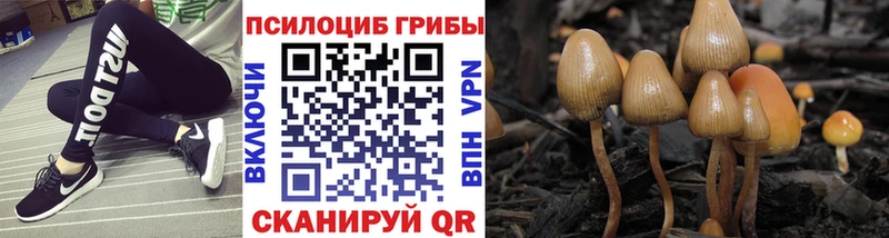 Псилоцибиновые грибы Magic Shrooms  магазин    Магадан 